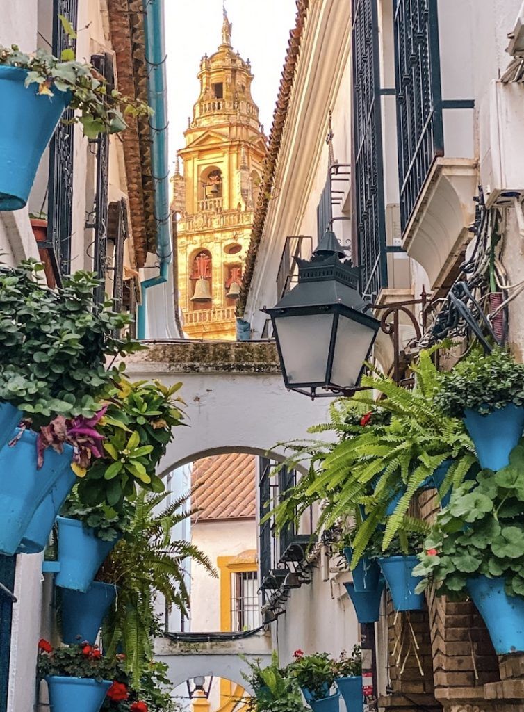 Team Building en Córdoba