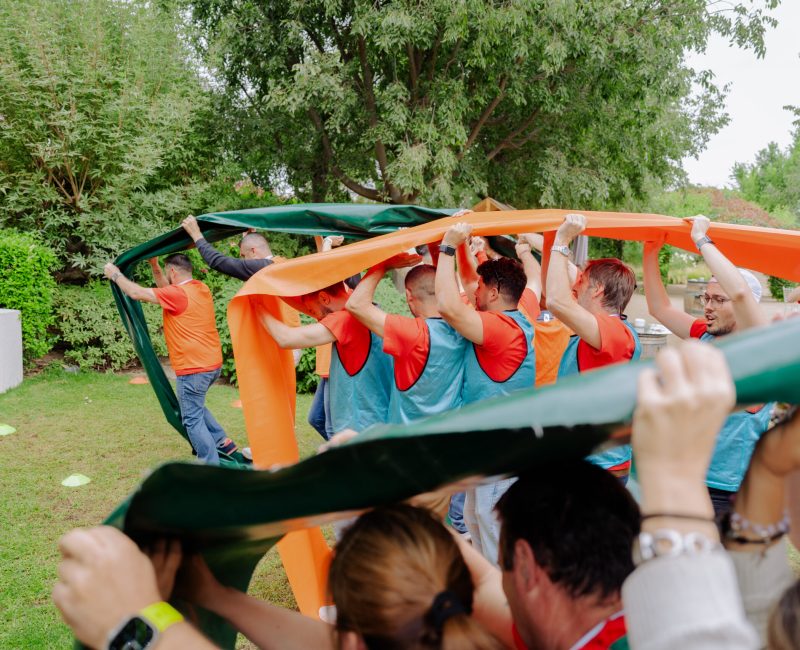 HD_PACISA 50 aniversario 256