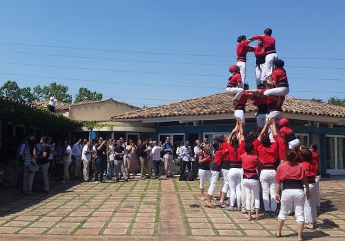 Taller de Castellers talleres creativos barcelona
