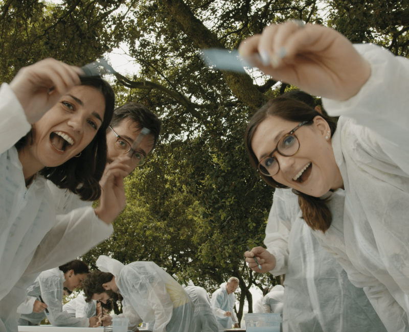 TVD Evento Presencial